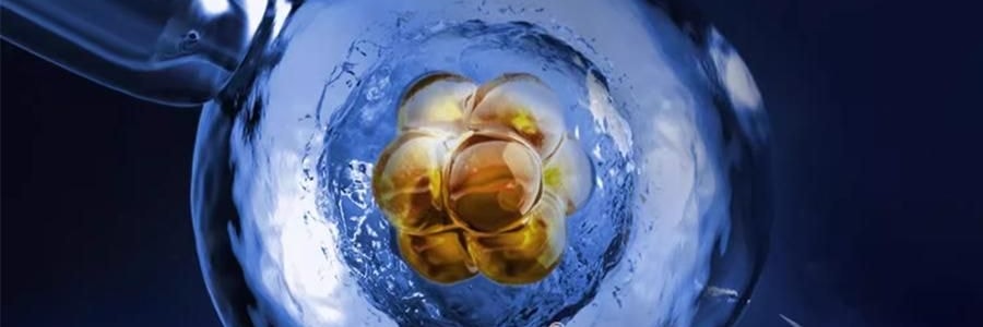 COLLGENE可麗金 嘭嘭次拋精華 Human-like重組膠原蛋白賦能珍萃緊緻彈潤次拋精華液 30支*1.2ml 敏感肌 抗皺保濕