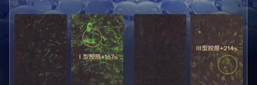 COLLGENE可麗金 嘭嘭次拋精華 Human-like重組膠原蛋白賦能珍萃緊緻彈潤次拋精華液 30支*1.2ml 敏感肌 抗皺保濕