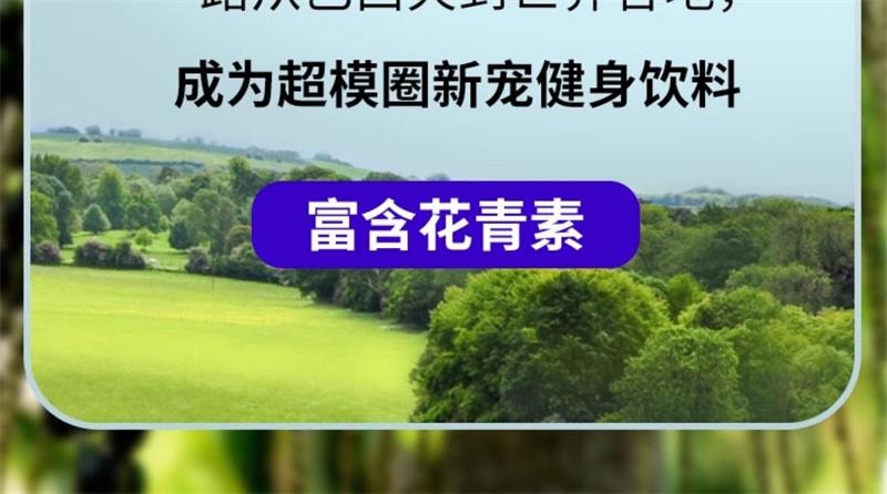 【中國直郵】 兵王的炊事班 巴西莓粉花青素小包裝果蔬減低脂纖維沖泡女代餐飲品 10條/包
