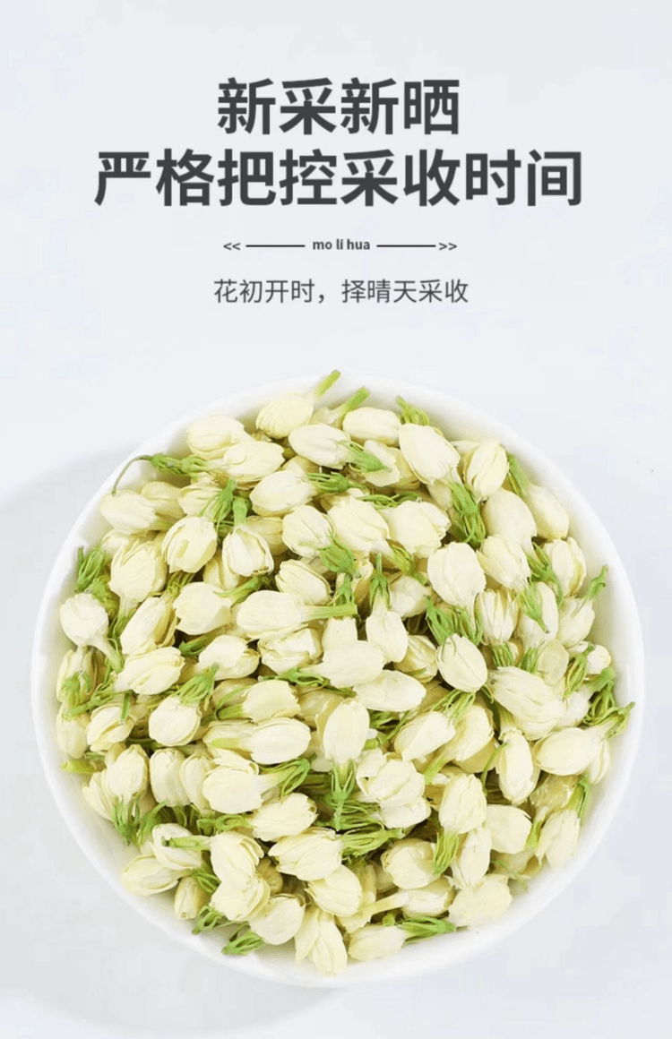  瀧禦堂 茉莉花苞 無燻硫甄選茉莉花 朵朵飽滿 色澤自然 30g