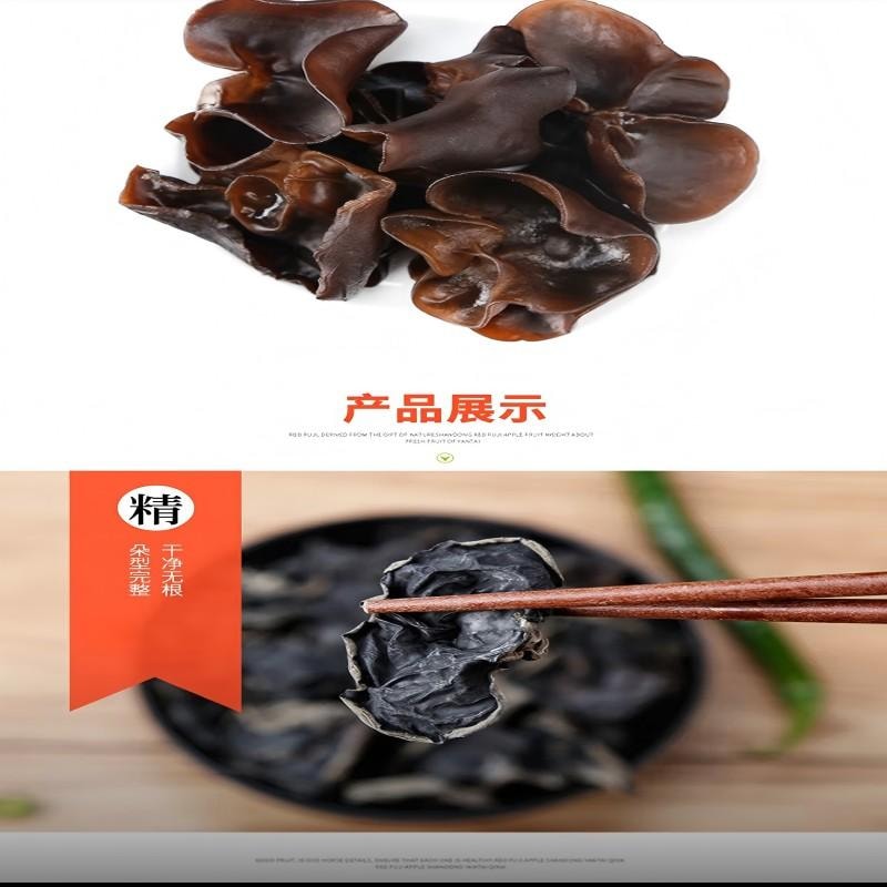 【中國直郵】 古松 黑木耳肉厚無根泡發率高涼拌炒菜火鍋食材特產乾貨高品質原生態 精選黑木耳250g
