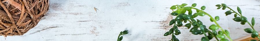 日本KOKUBO小久保 活性碳強力 冰箱除臭劑 150g 蔬菜瓜果除味