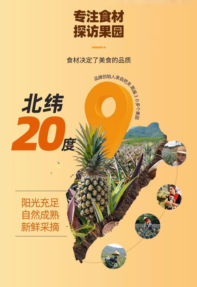 【中国直邮】 三味酥屋 土凤梨酥 100%真凤梨 福建厦门特产伴手礼 200g1盒