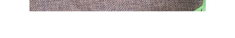 日本SHIRAKIKU讚岐屋 玉米脆片 起司口味 70g