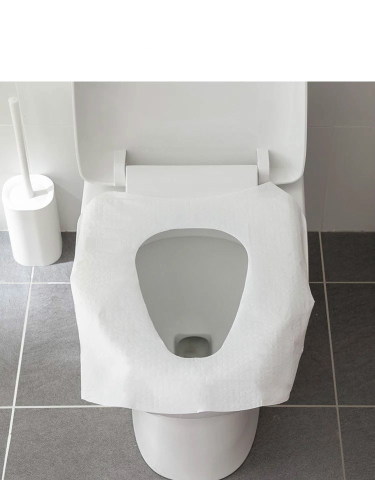 10 PIECES DISPOSABLE TOILET MAT