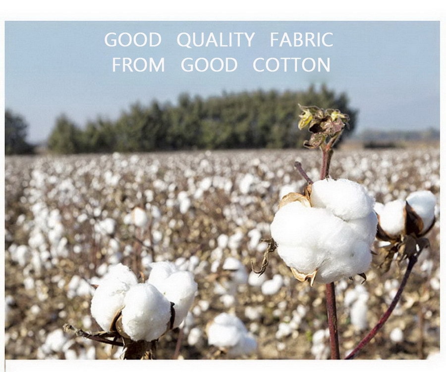 100% Egyptian Cotton 600T flatsheet