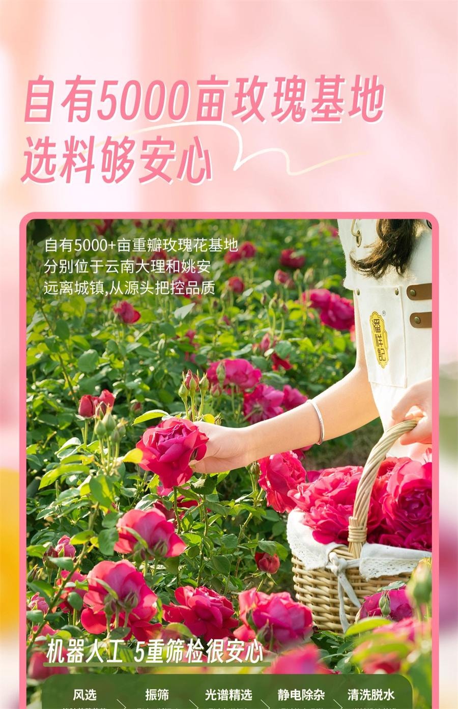 【中国直邮】 潘祥记 茉莉鲜花饼 传统糕点心面包零食礼包 云南特产鲜花饼200g/袋