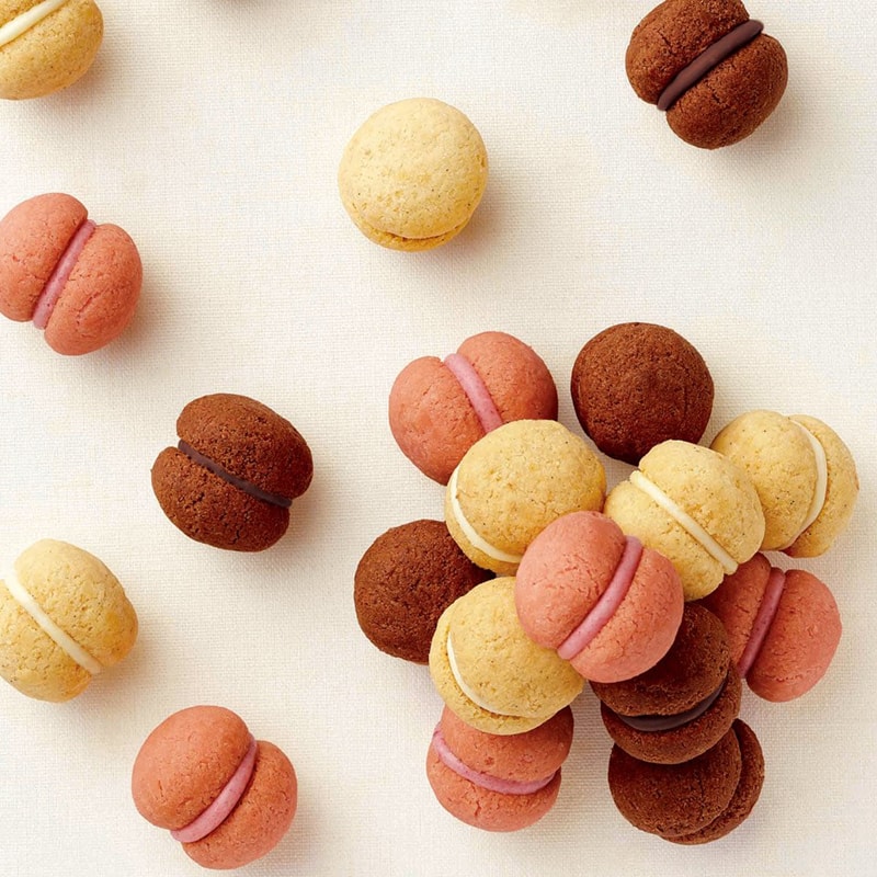 【日本直郵】DHL直郵3-5天 日本甜點名店 SUZETTE 三種口味馬卡龍巧克力夾心球 6個裝 已改包裝