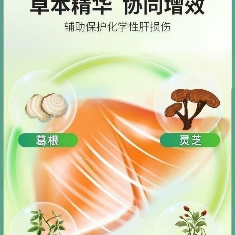 【中國直郵】台灣 李時珍 葛根靈芝片 護肝喝酒熬夜養肝片 營養安神 止咳平喘 增強免疫 60g