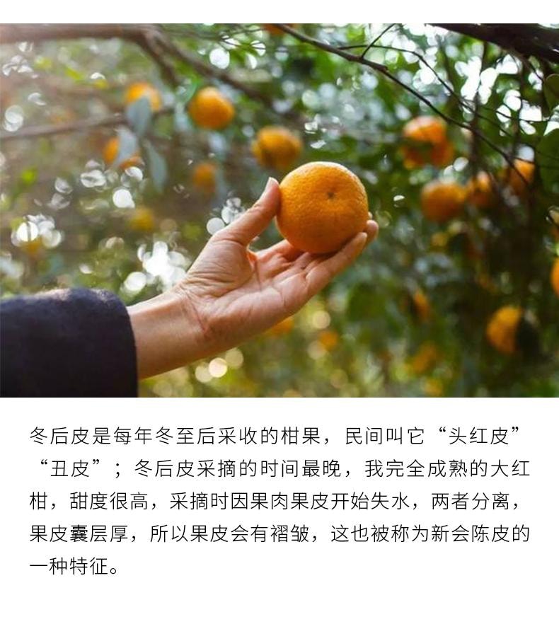 小师姐评茶 【美国现货秒发】 2015年新会天马陈皮 冬后大红皮 黄金级陈酿 挥发油类多糖丰富 理气健脾 燥湿化痰 增强免疫 止咳平喘 醇厚药香 70g