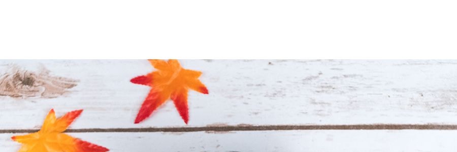 日本ITO EN伊藤園 傳統抹茶綠茶包 20包入 30g