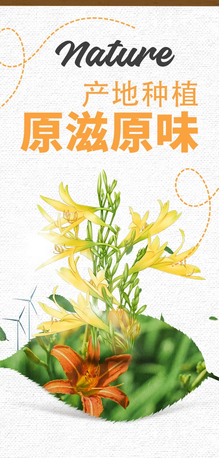 中國 盛耳 當季產地嚴選黃花菜 色澤金黃 條索長 粗壯 真空保鮮 100克 莫道農家無寶玉 遍地黃花是金針