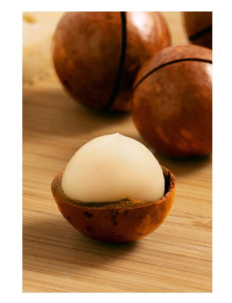 鲜记 夏威夷果388g