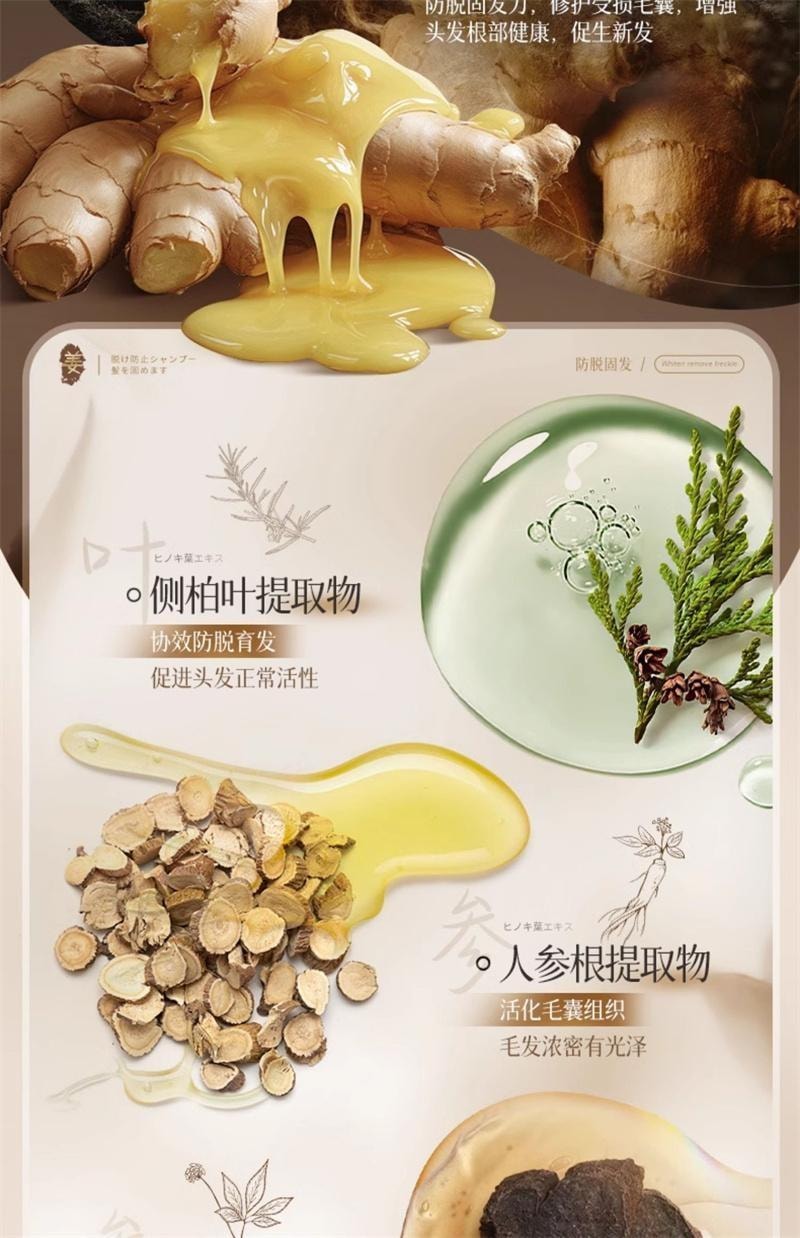 【中国直邮】 韩方五谷 生姜洗发水500ml/瓶 防脱固发控油蓬松去屑止痒增密育发膏露男女