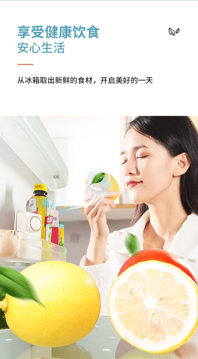 中国 Deqian德前冰箱臭氧除味器家用杀菌消毒除异味净化器鞋柜衣柜除臭机 绿色 1件