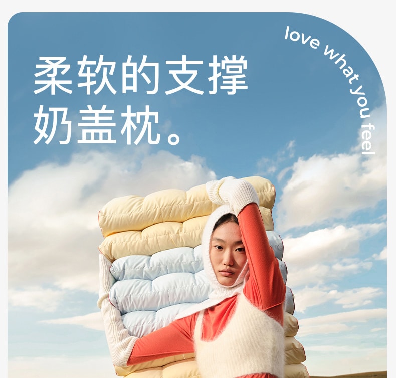 中國拉芙菲爾奶蓋枕睡眠助眠專用護頸椎枕分區慢回彈記憶棉枕頭