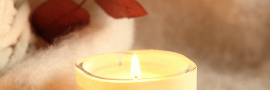 THE BEAST野兽派 熊猫噗噗香氛蜡烛 大豆蜡香薰礼盒礼物 三姐妹 愈创木/薄荷新生/苹苹奶