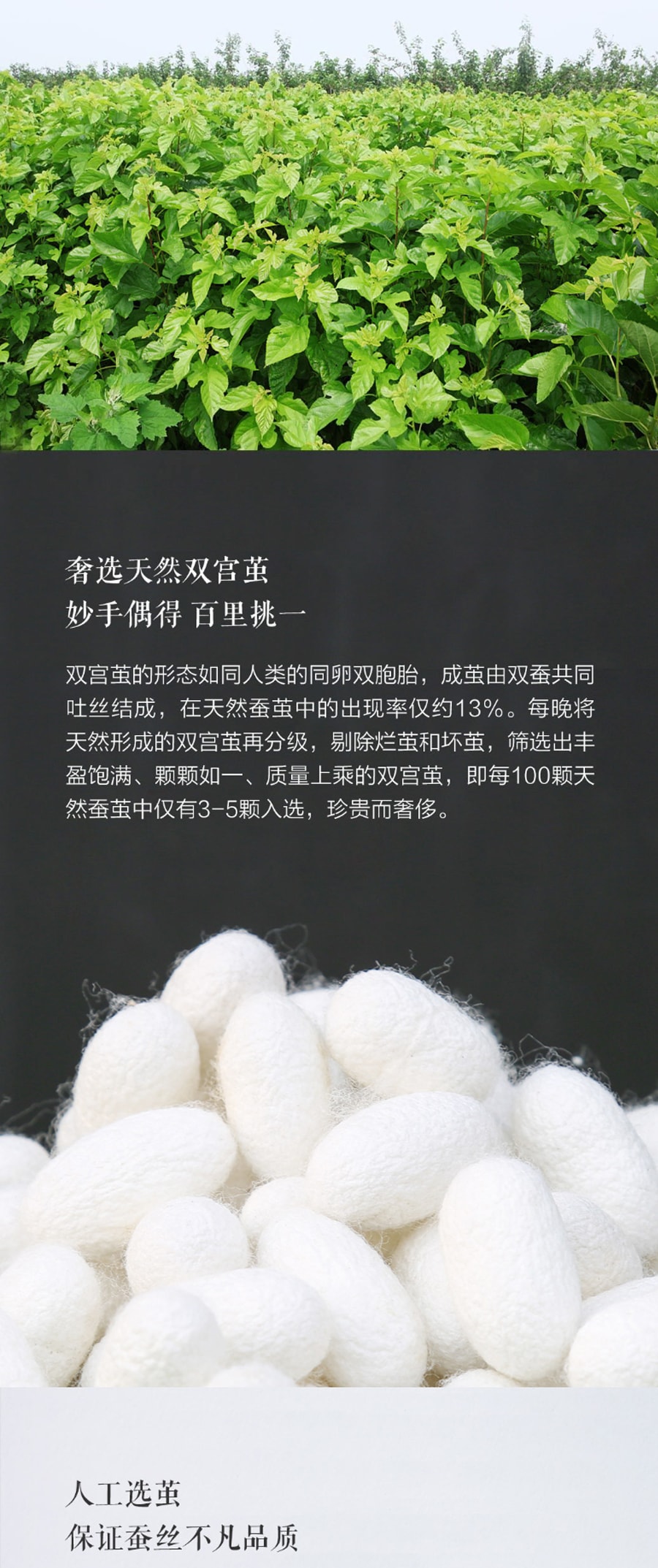 【中国直邮】小米有品每晚天丝桑蚕丝夏凉被 150*200cm单人适用
