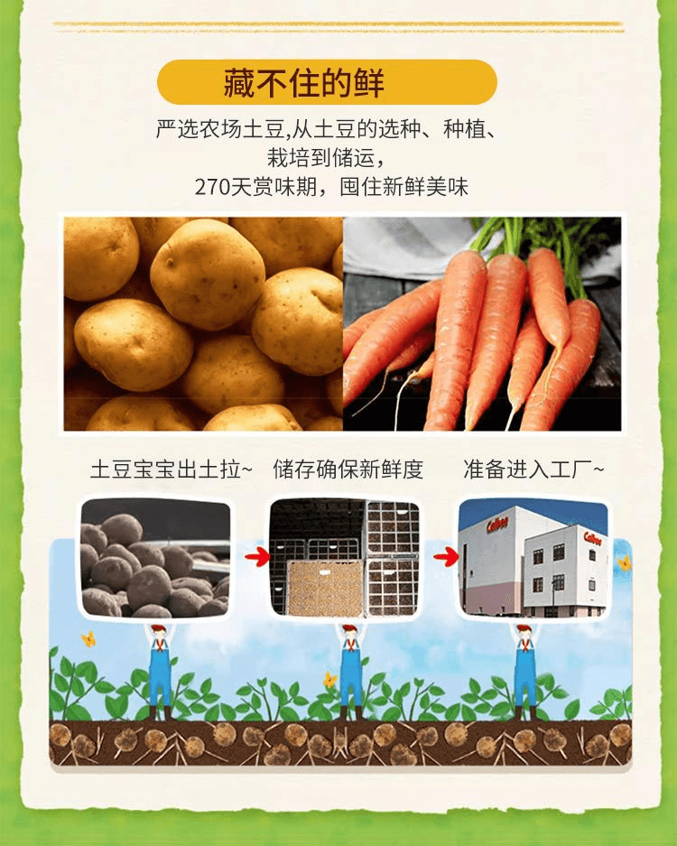 1_06.jpg 【日本直邮】Calbee卡乐比 土豆棒蔬菜沙拉味 68g