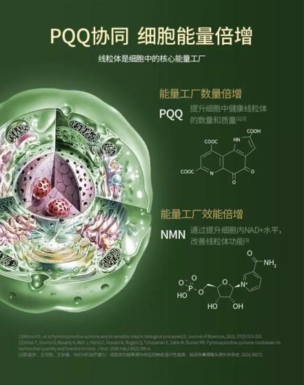【日本直邮】 日本 清美堂SEIBIDO  N+ 18000 高纯度NMN30天摄取总量18000mg 每瓶90粒 除NMN高奢搭配抗氧化抗衰高端成分全面细胞级抗衰
