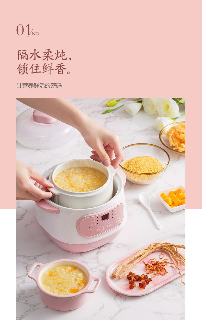 Multifunctional Health Pot 700W Automatic Electric Ceramic Stew Pot 2L for  Making Herbal Tea, Porridge and Soup