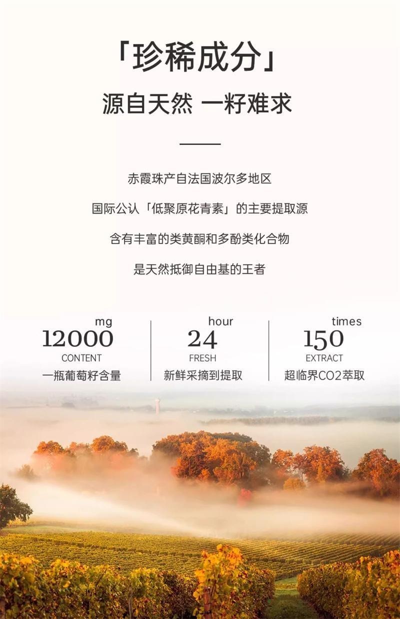 【中國直郵】英國 DOBO 葡萄籽美白丸 內調去黃美白內服口服雪白丸變白內調內服保養品 60粒/瓶