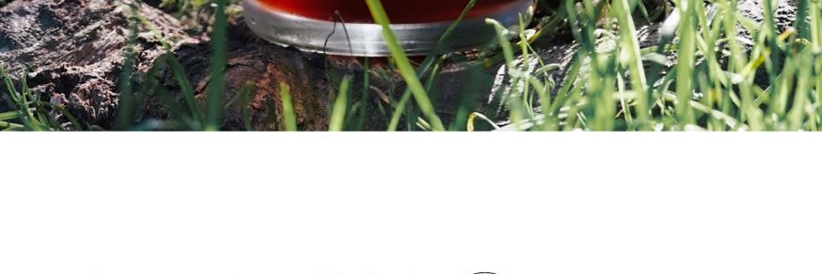 永璞 全系列赏味礼盒 黑咖美式拿铁礼盒套装 360g【挂耳咖啡*5包+冻干咖啡粉*5颗+意式咖啡液*12条】