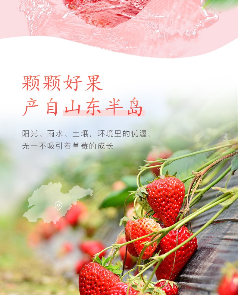 【中国直邮】百草味 草莓干100g