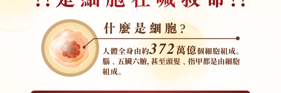 VITA GREEN维特健灵 纯野生五色灵芝 60粒 每日两粒补五脏 宁神安眠提升睡眠质素 增强活力抗氧化能力