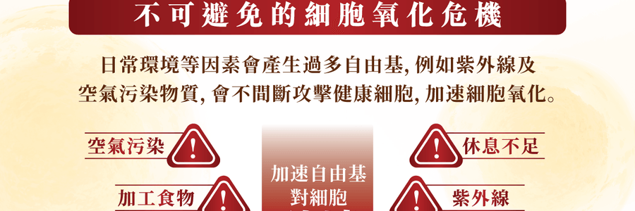 VITA GREEN维特健灵 纯野生五色灵芝 60粒 每日两粒补五脏 宁神安眠提升睡眠质素 增强活力抗氧化能力