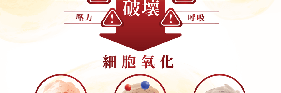 VITA GREEN维特健灵 纯野生五色灵芝 60粒 每日两粒补五脏 宁神安眠提升睡眠质素 增强活力抗氧化能力