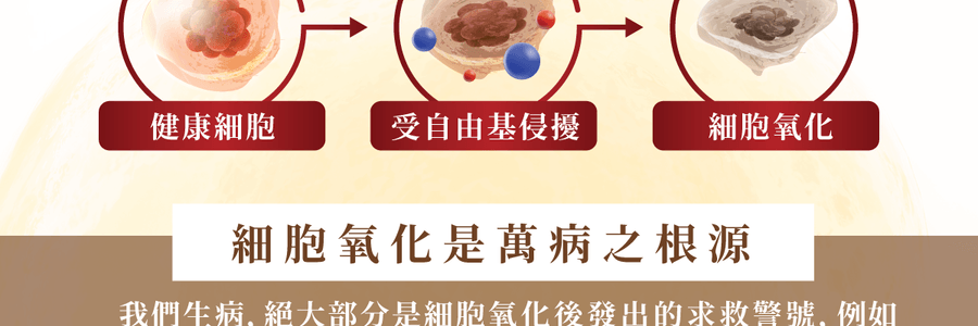 VITA GREEN维特健灵 纯野生五色灵芝 60粒 每日两粒补五脏 宁神安眠提升睡眠质素 增强活力抗氧化能力