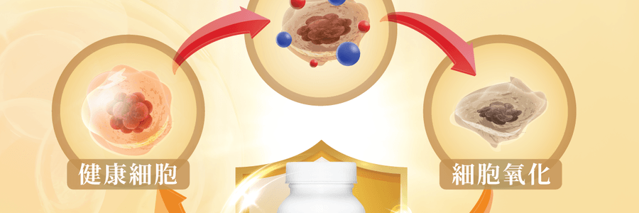 VITA GREEN维特健灵 纯野生五色灵芝 60粒 每日两粒补五脏 宁神安眠提升睡眠质素 增强活力抗氧化能力