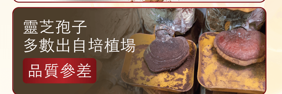 VITA GREEN维特健灵 纯野生五色灵芝 60粒 每日两粒补五脏 宁神安眠提升睡眠质素 增强活力抗氧化能力