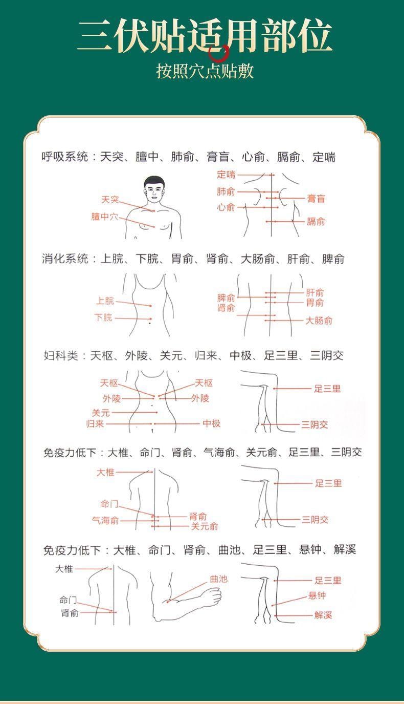 北京同仁堂 【超值特价】三伏贴30贴 艾草成人儿童穴位贴冬病夏调 祛湿散寒 温经通络 艾灸贴 暖宫贴保暖贴 活血化瘀身体养护