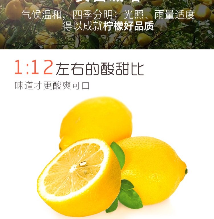 【中國直郵】百草味 水晶檸檬片65g
