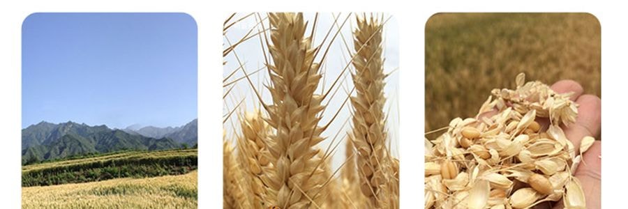 盒馬 張爺爺手工空心掛麵 細乾麵條 400g *3【3份超值裝】