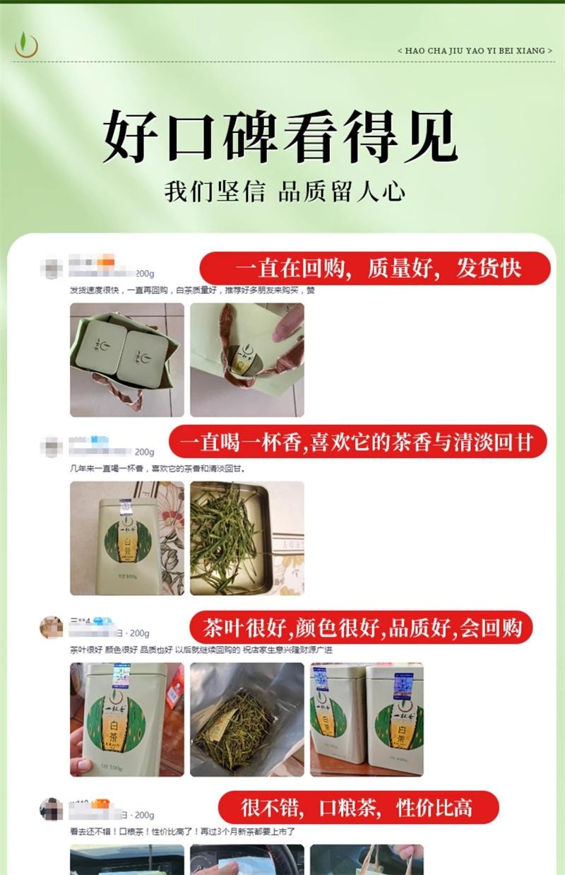 【中国直邮】一杯香  2025新茶白茶一杯香明前安吉绿茶茶叶  100g*2罐