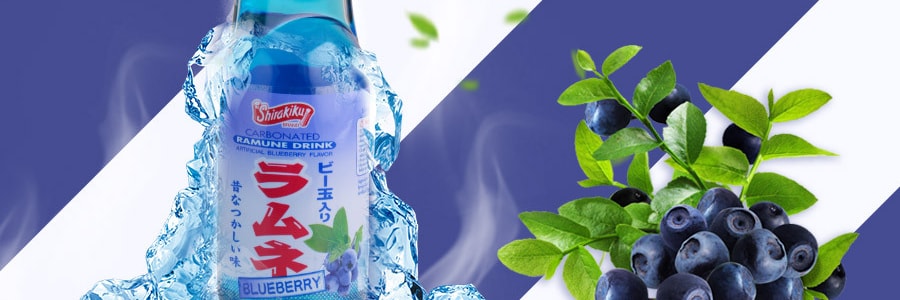 【超值分享裝】日本SHIRAKIKU讚岐屋 彈珠汽水 藍莓口味 200ml * 10瓶