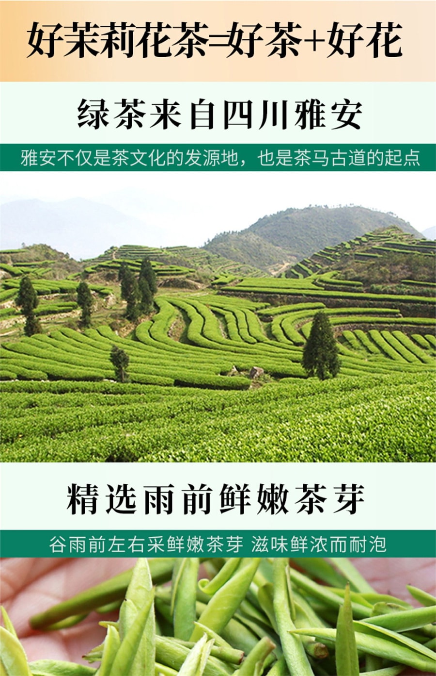 【中国直邮】一杯香   2023新茶茉莉花茶横县花草茶绿茶茶叶  250g/罐