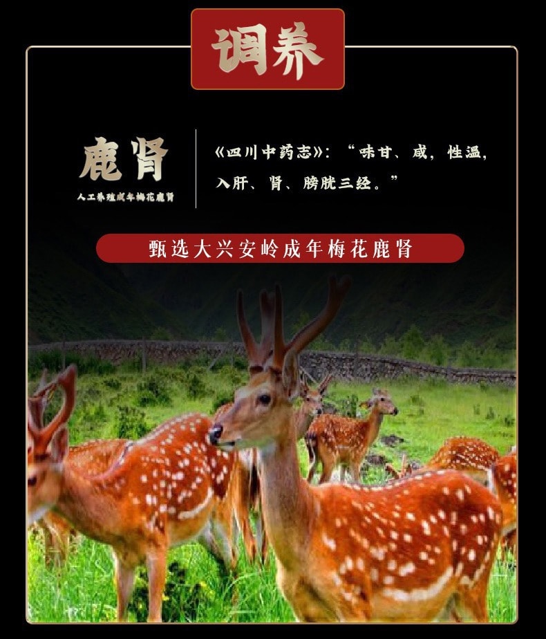 【中國直郵】北京同仁堂 補腎 強腎 人參鹿鞭丸 180g/盒