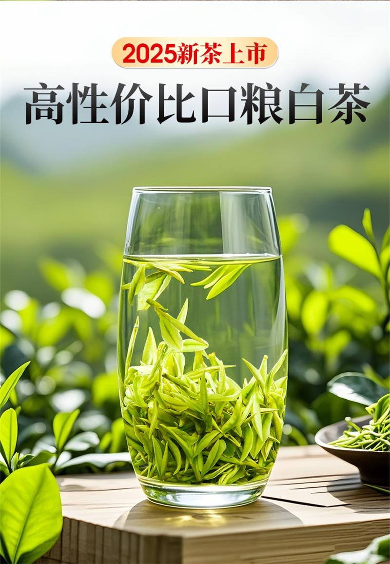 【中国直邮】一杯香  2025新茶白茶一杯香明前安吉绿茶茶叶  100g*2罐