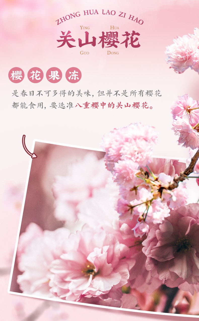 【中華老字號 中國直郵】 上海 沈大成 官方店 櫻花果凍布丁195克