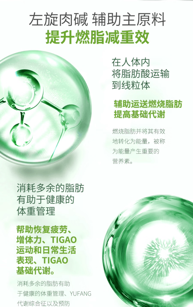 【日本直邮】日本 MEIJI明治制药 纤姿 全植物原料辅助减脂减肥 150粒装 注重相乘效果高效体感