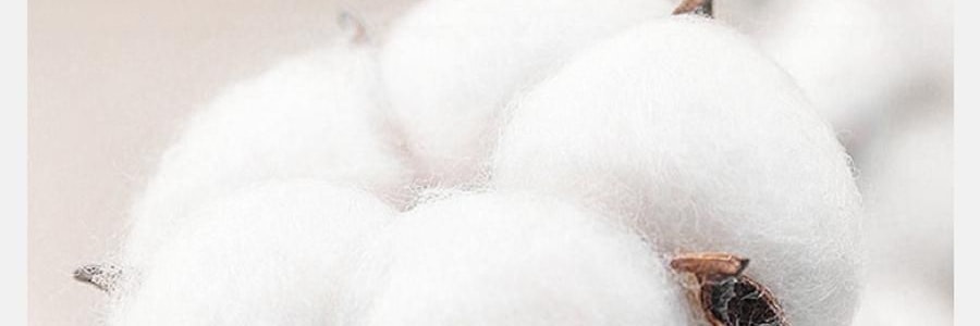 THE BEAST野獸派 家居熊貓嘭嘭針織棉被 春秋被加厚保暖冬被 200x230cm