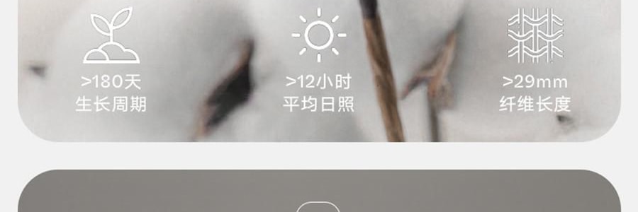 THE BEAST野獸派 家居熊貓嘭嘭針織棉被 春秋被加厚保暖冬被 200x230cm