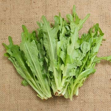 A Choy/Chinese Lettuce (1lb.)