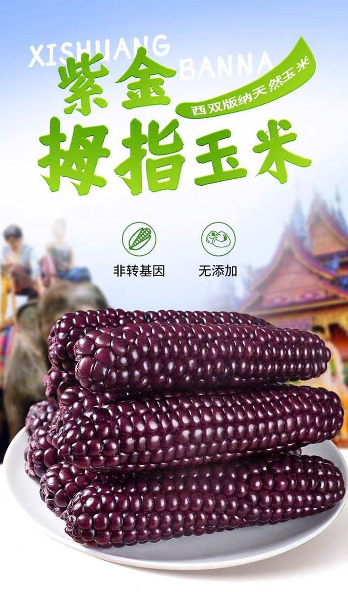 【中國直郵】 傣小瓜 雲南西雙版納 紫薯拇指玉米 0添加 500g*1袋