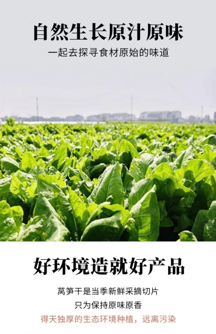 瀧禦堂 火鍋伴侶 脫水蓴筍乾當季新鮮葩筍 色澤翠綠 新鮮清爽 50g