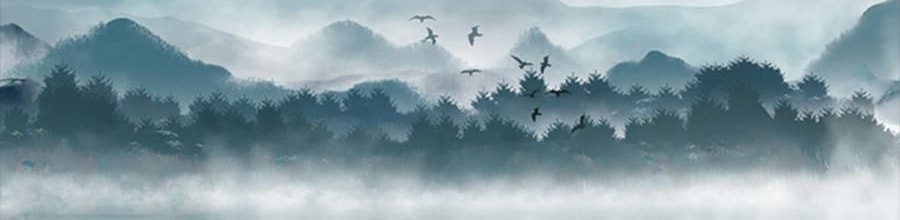 时朴 豆腐丝 200g【云南石屏特产】【火锅涮菜凉拌】